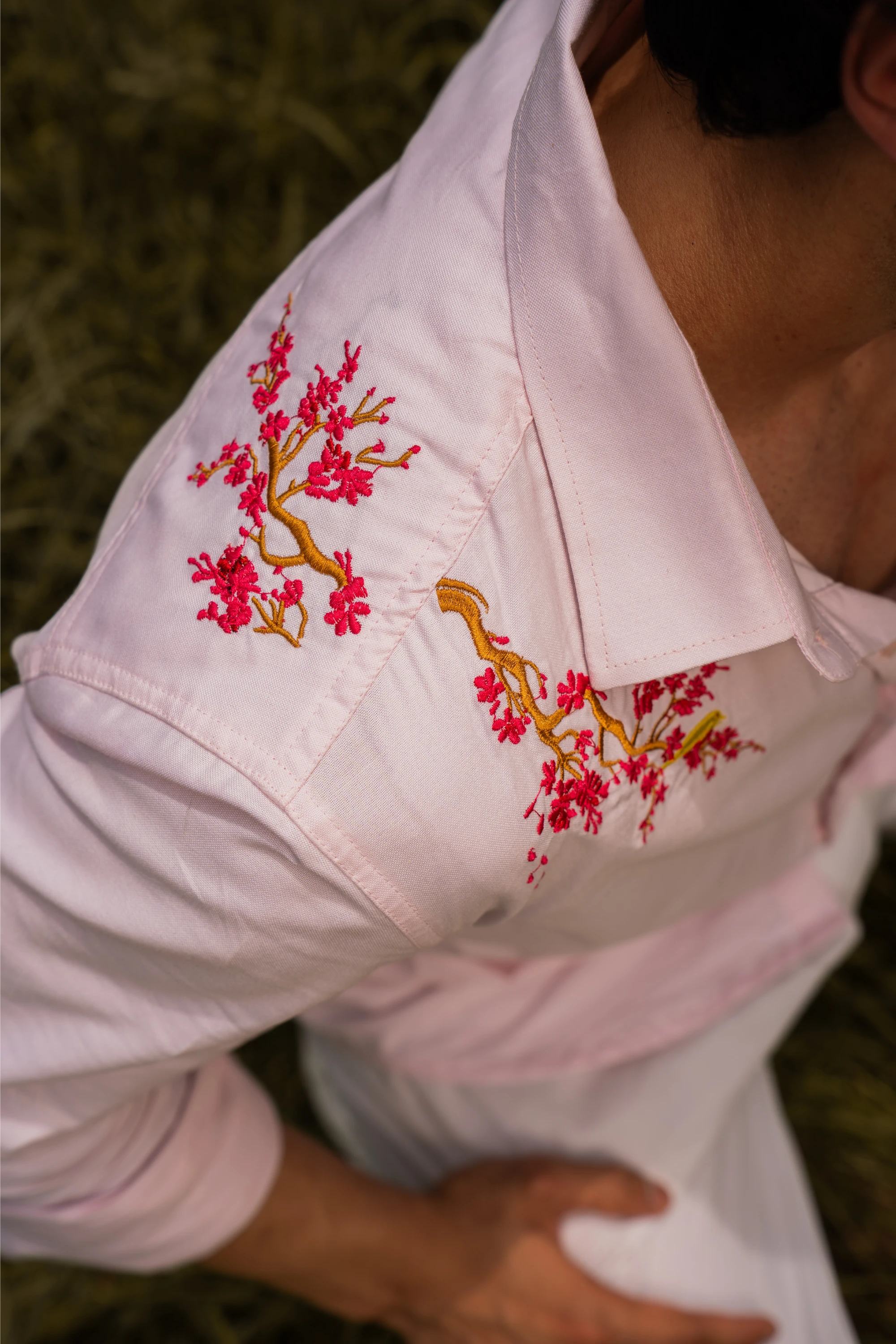 Cherry Blossom