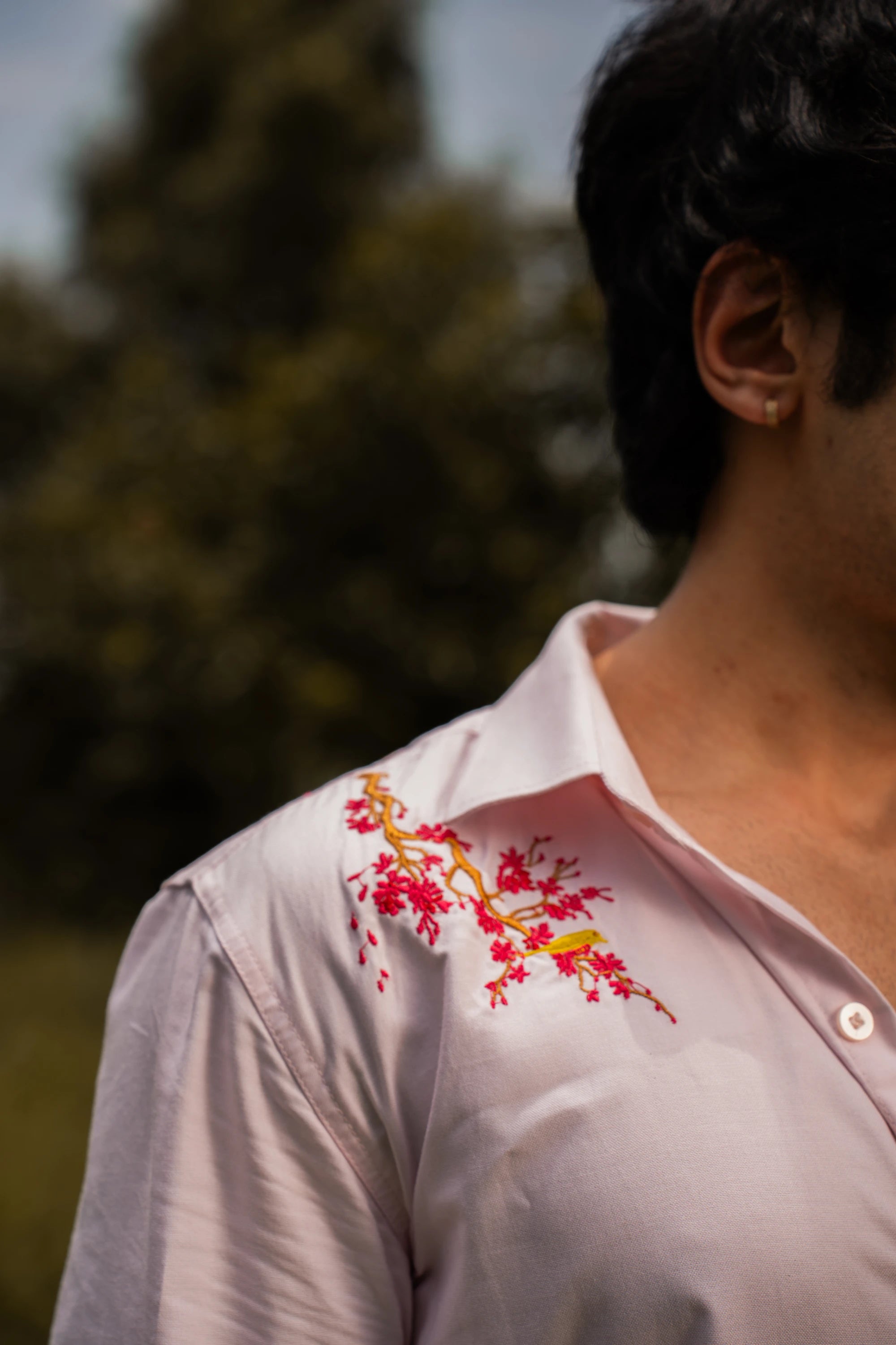 Cherry Blossom